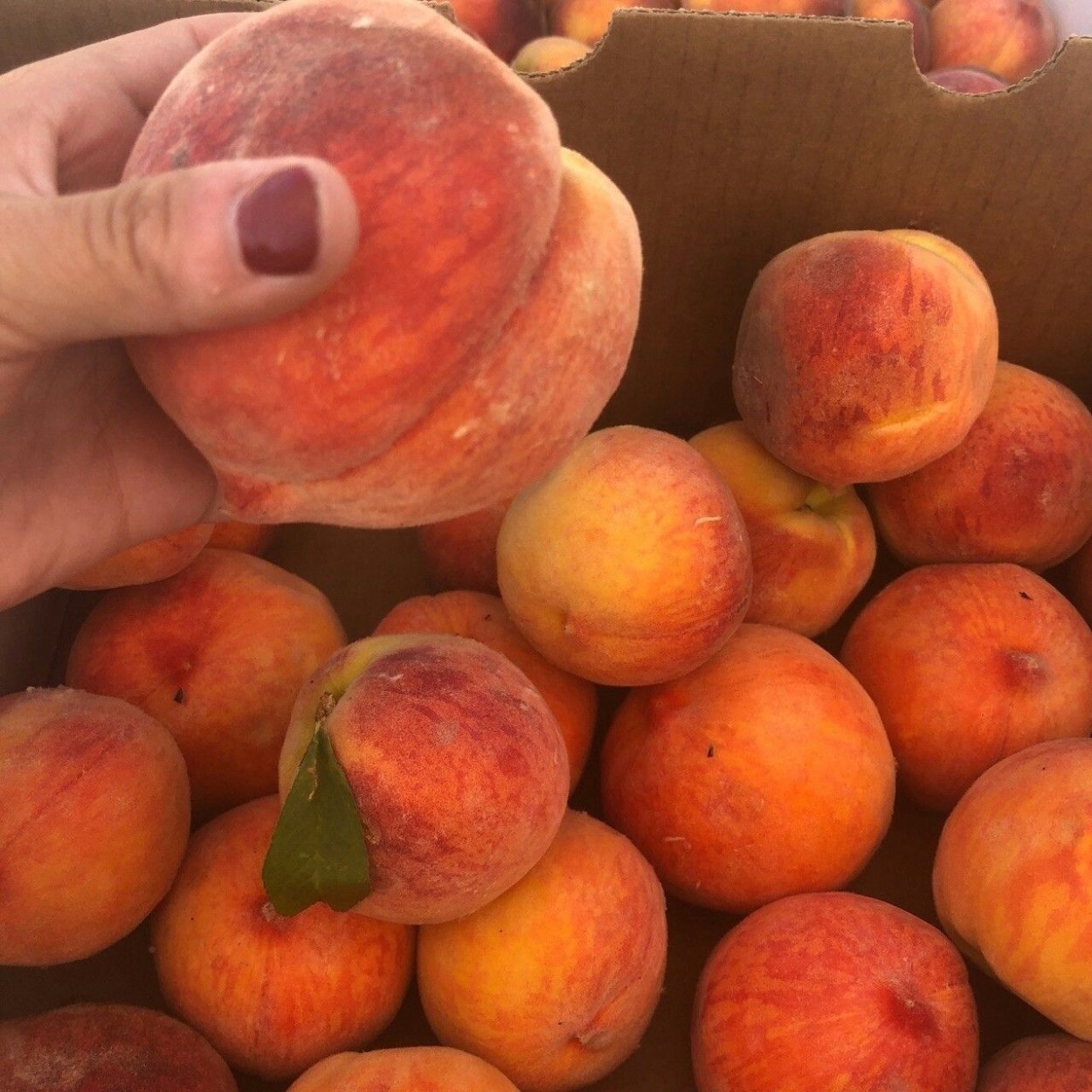 Большие персики