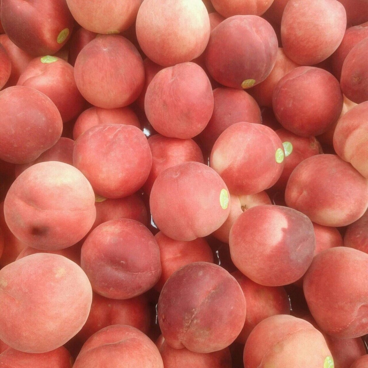 Розовый персик