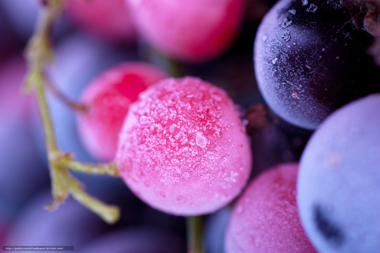 Волшебные ягоды