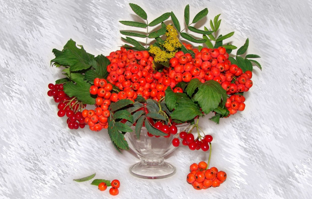 Корзинка с зимними ягодами