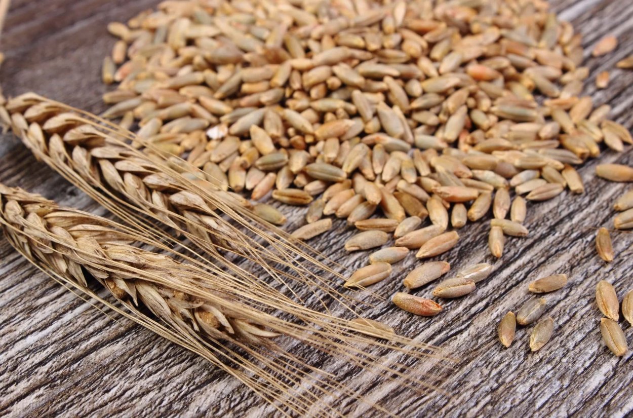 Просо овес пшеница