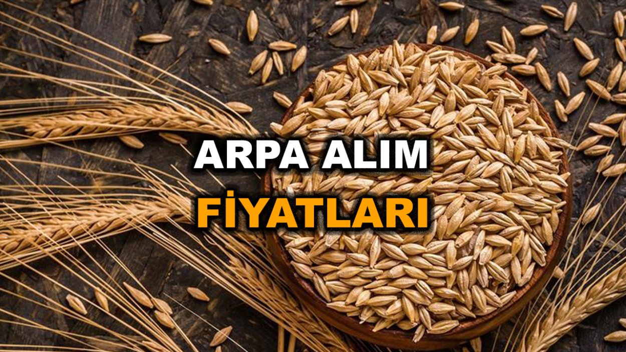 Арпа бугдой