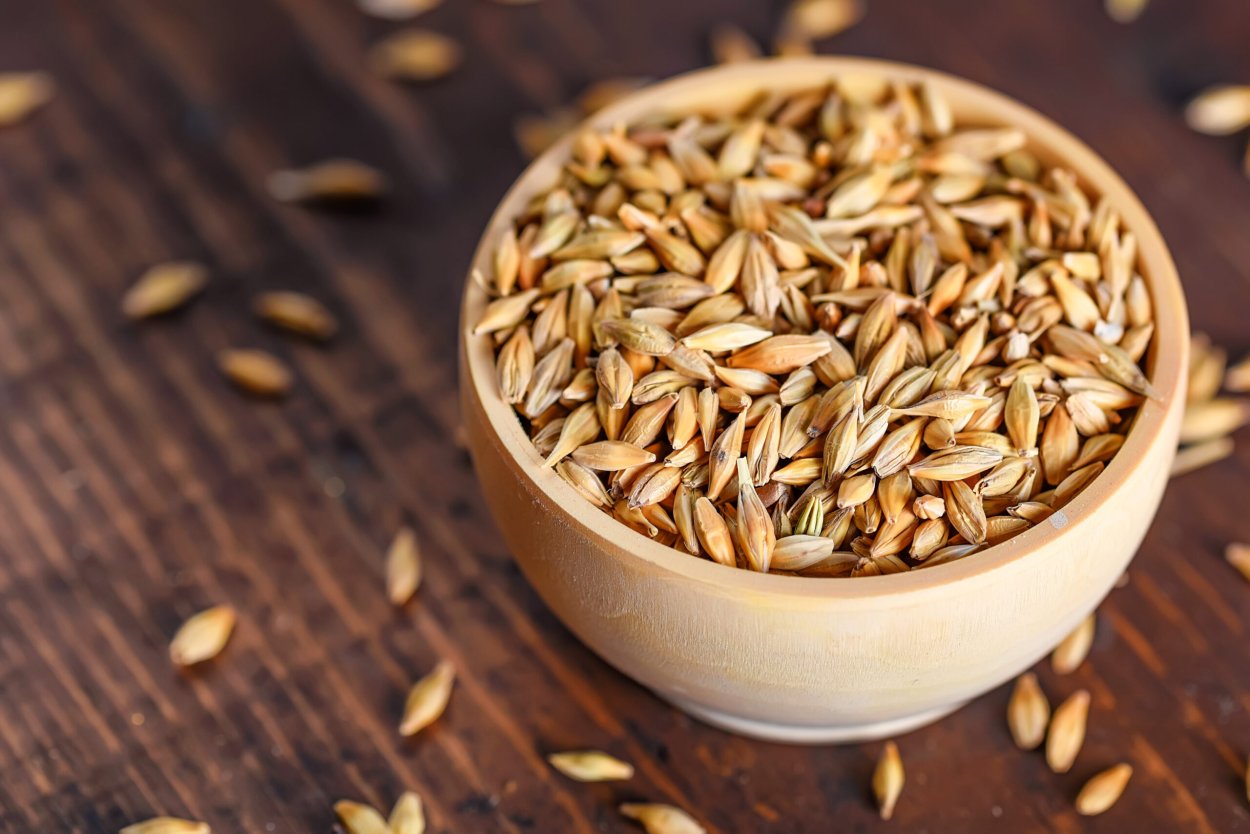 Barley Grain