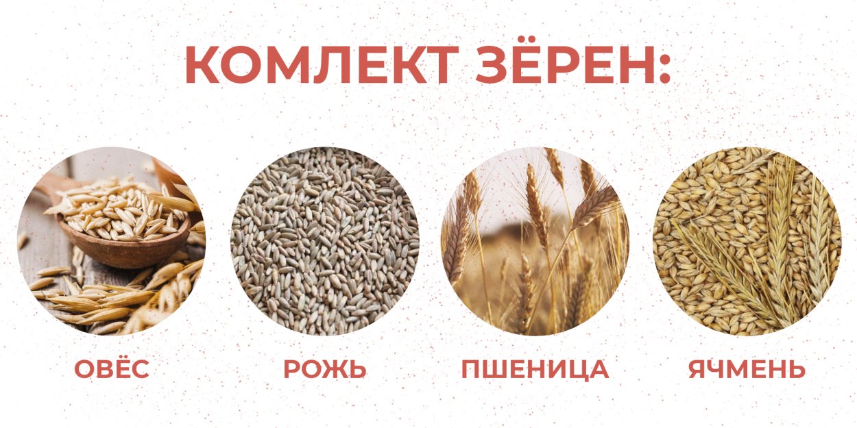 Рожь семена мука