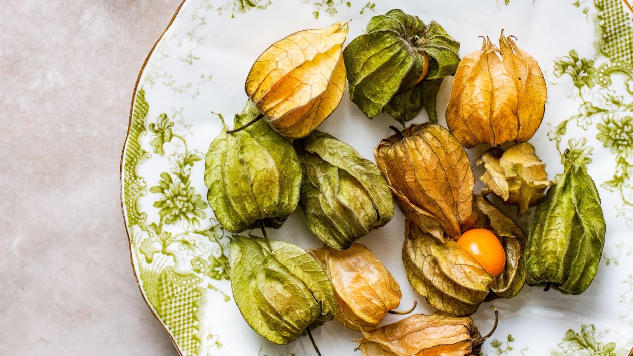 Немецкая ягода физалис