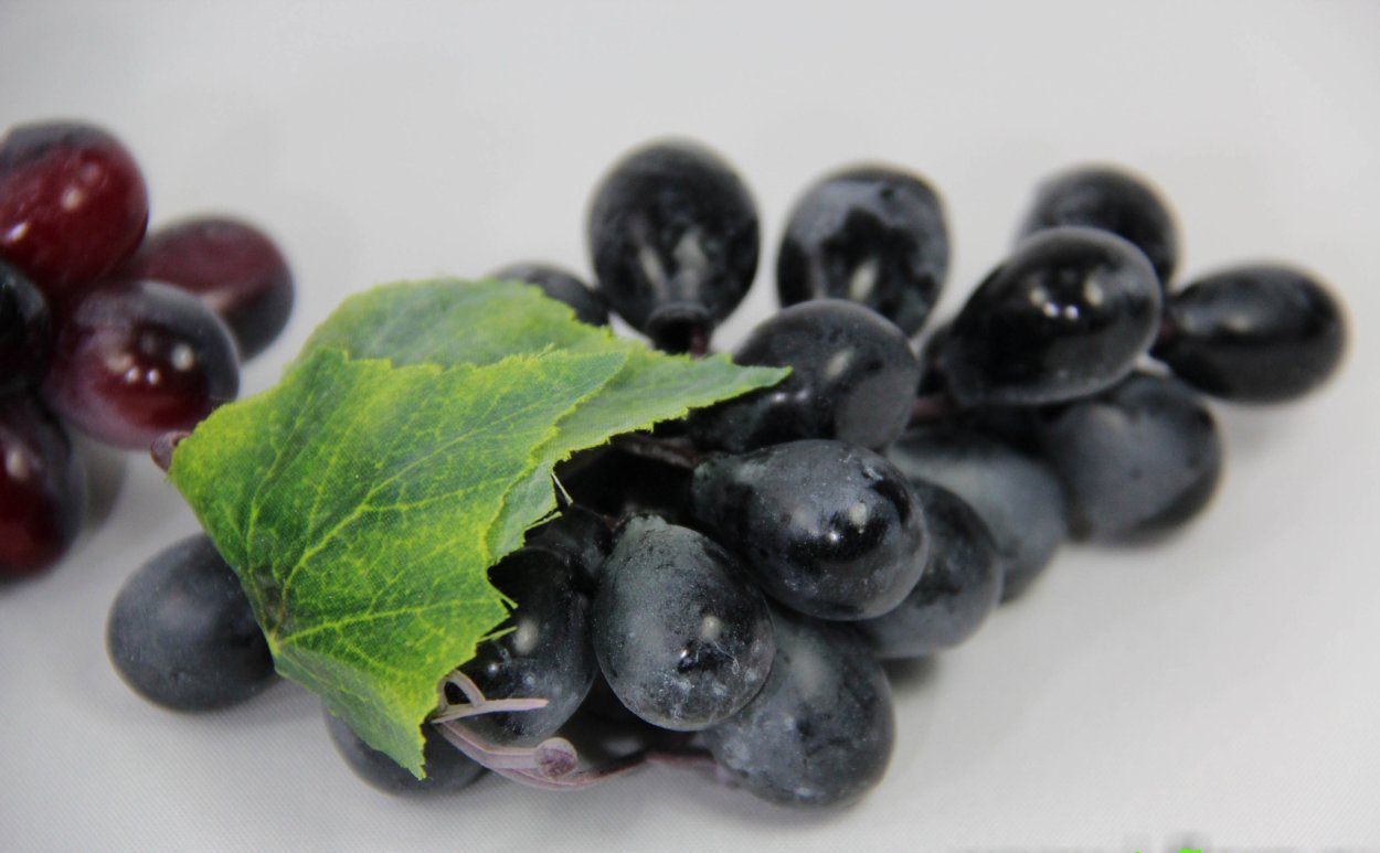 Приморский бархат ягоды