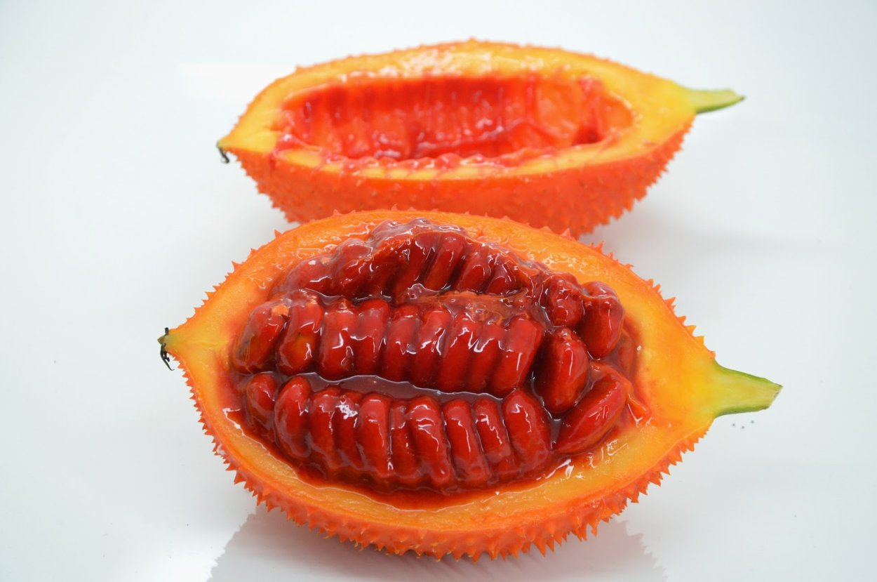 Спелые деревья