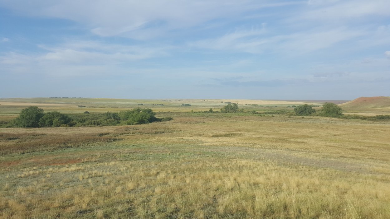 Персиановская заповедная степь