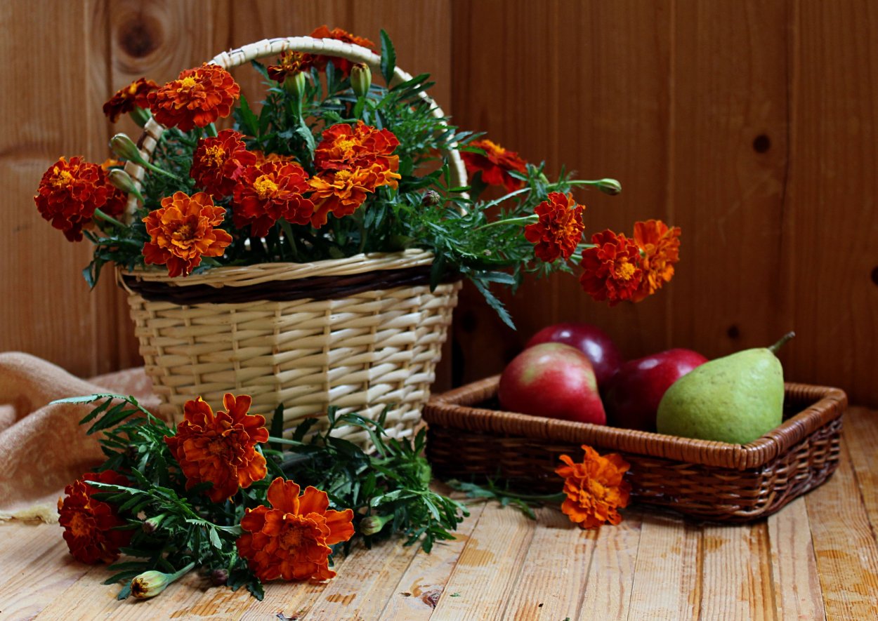 Бархатцы в корзинке