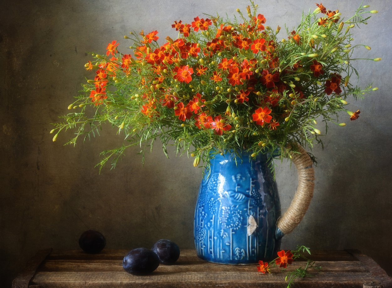 Бархатцы Лулу