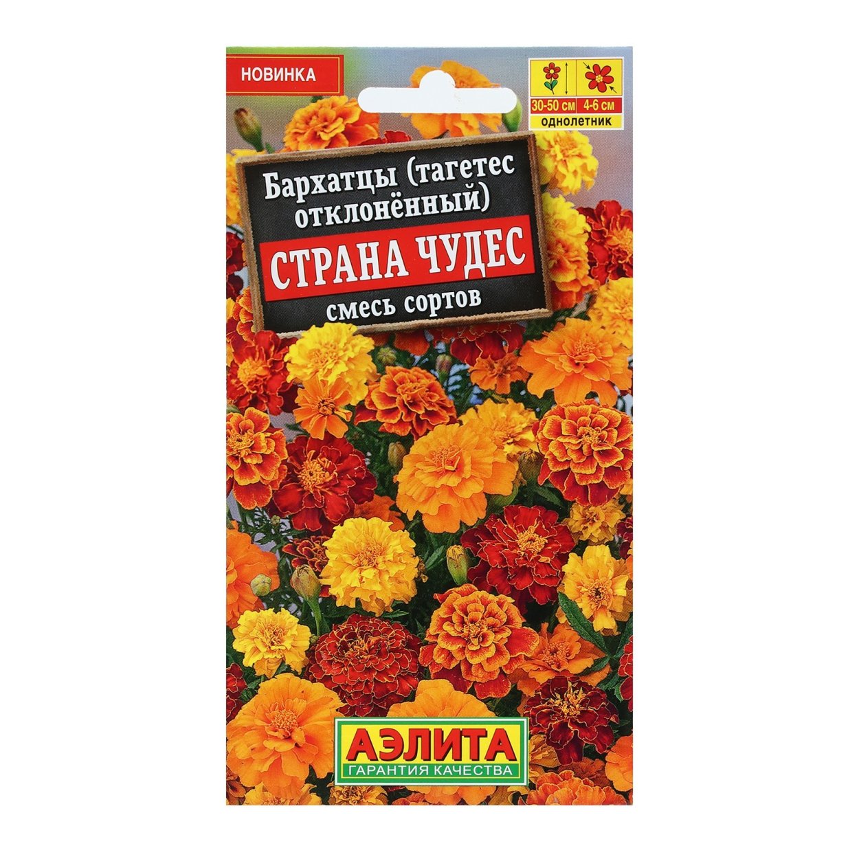 Бархатцы мандаринки