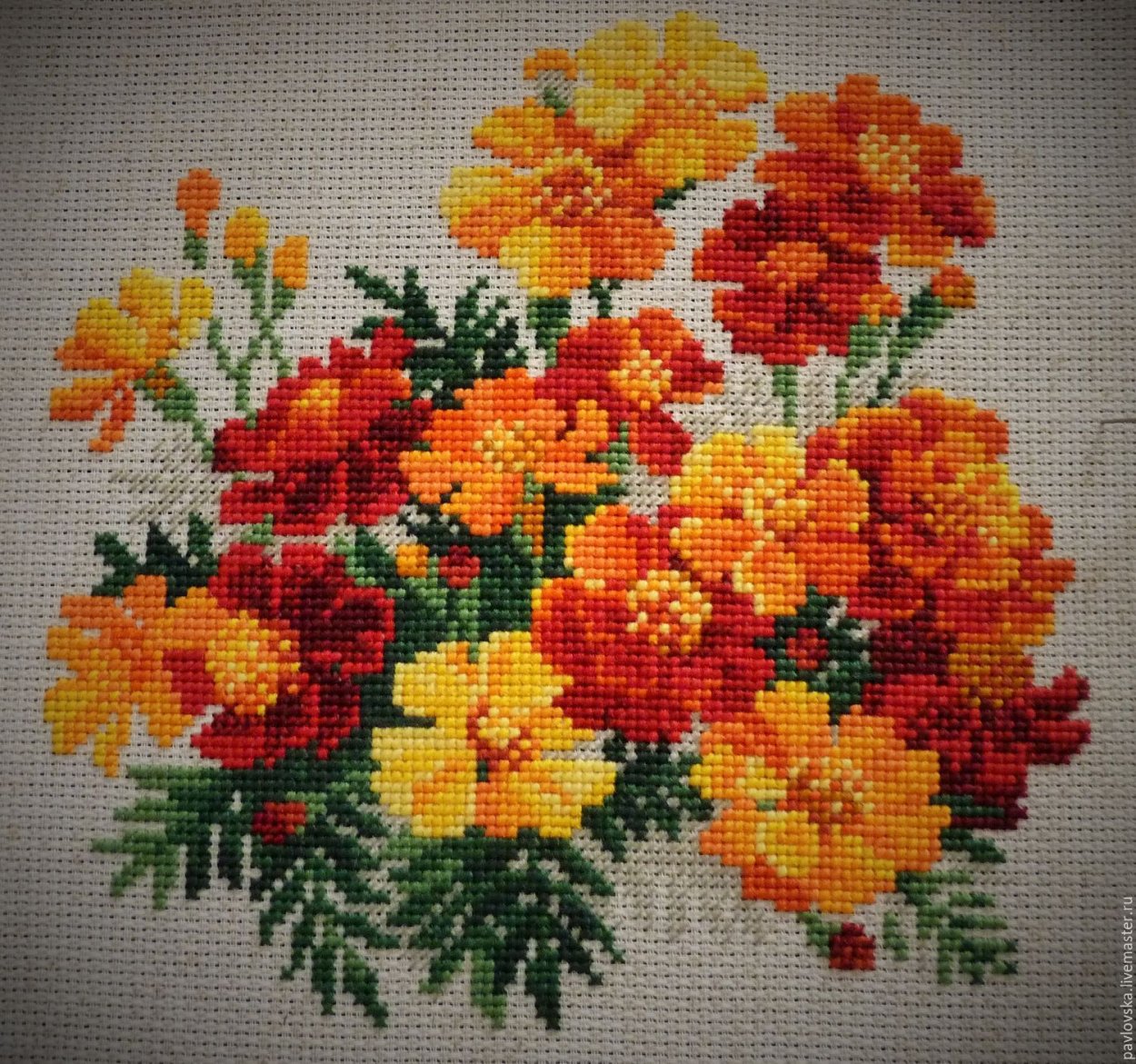 Бархатцы в Индии