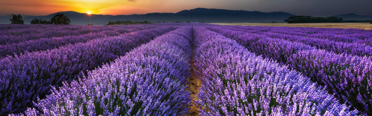 Булатова Альбина Уфа