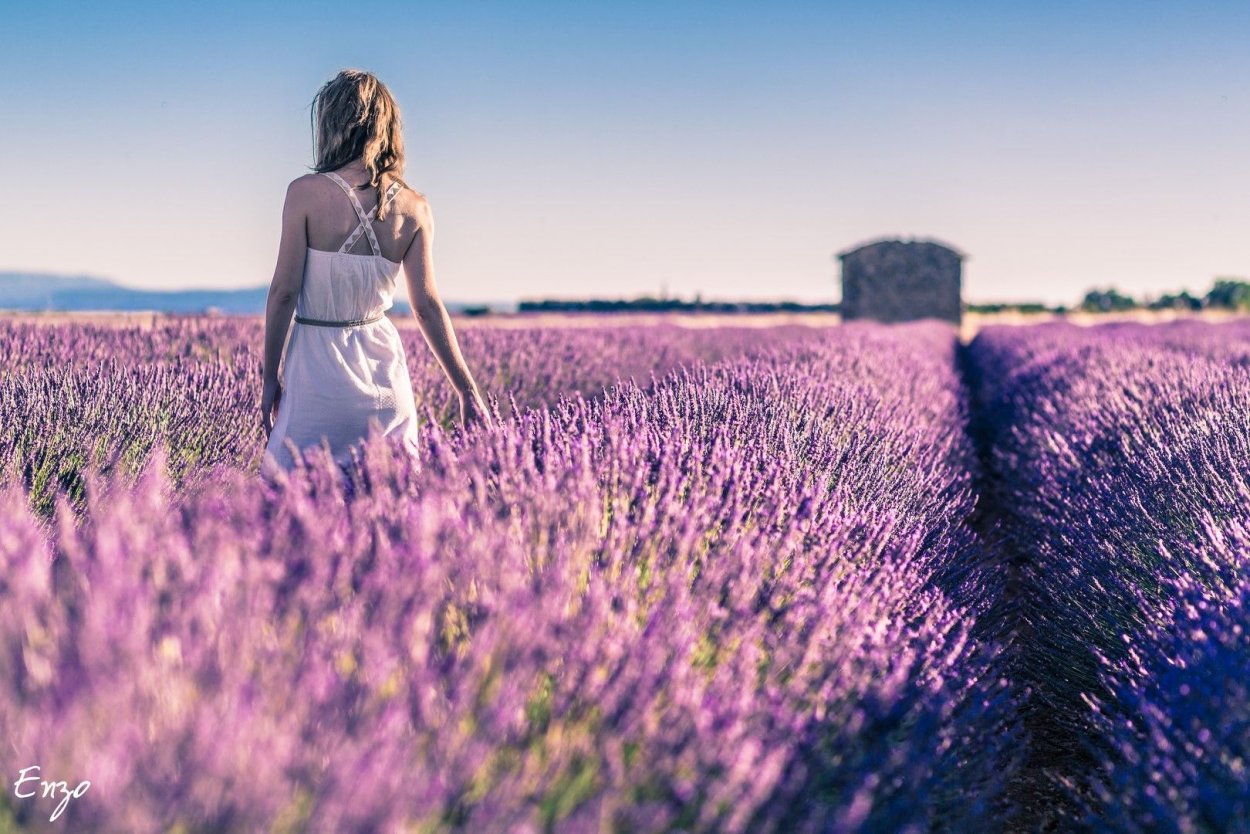 Озеро Салда и Лавандовые поля