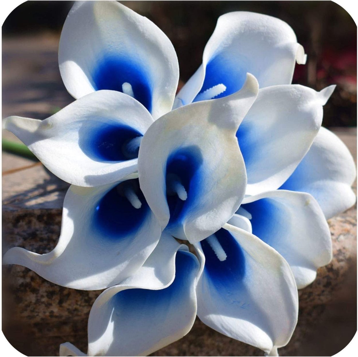 Каллы голубые букет