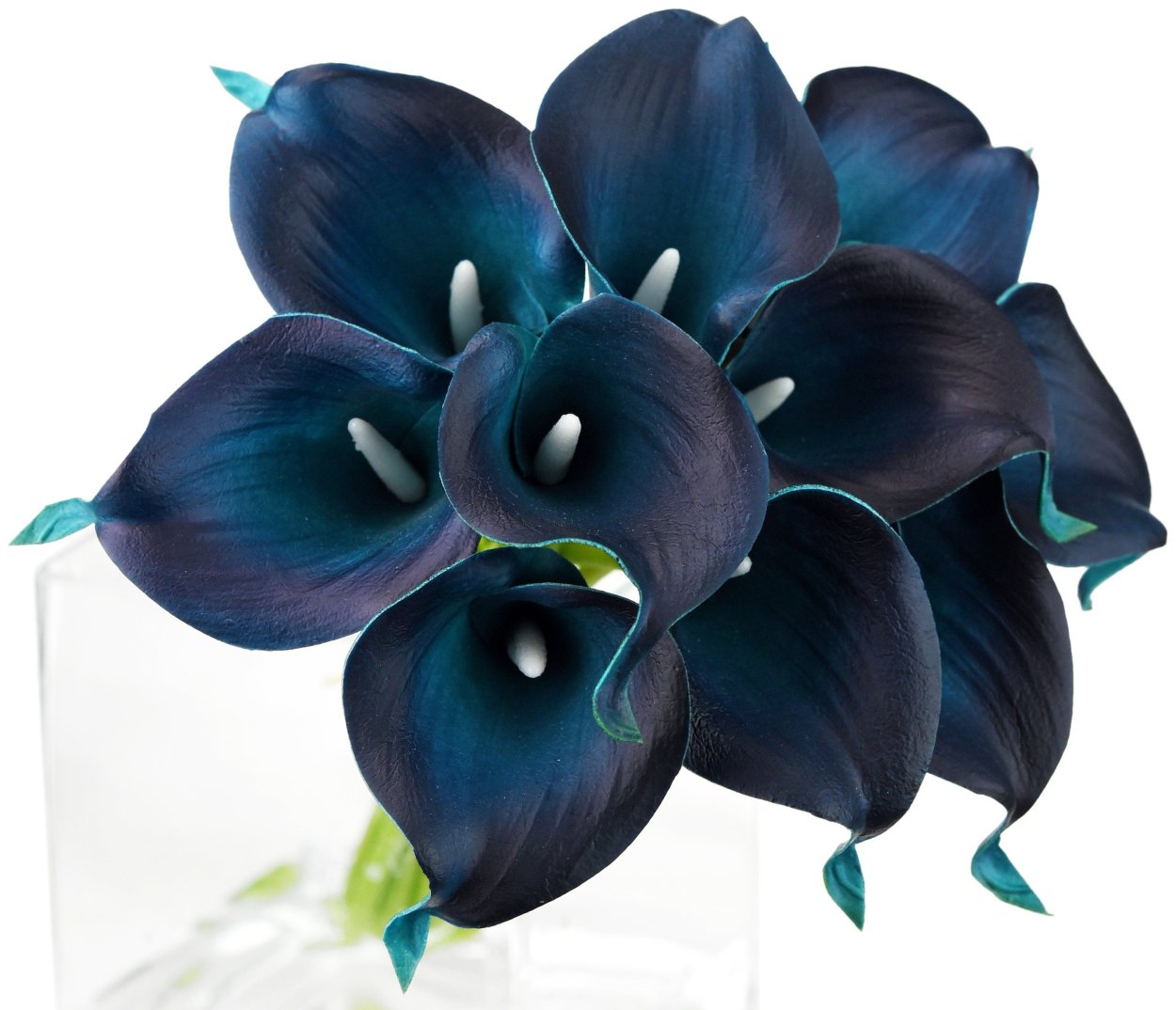 Каллы голубые цветы