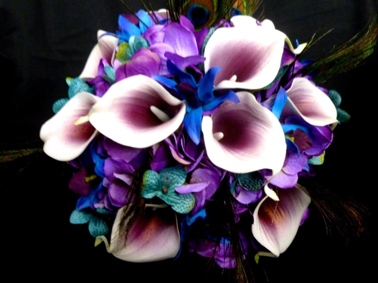 Blue Calla Lilies
