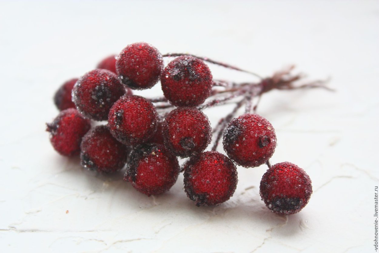 Зимние красные ягоды