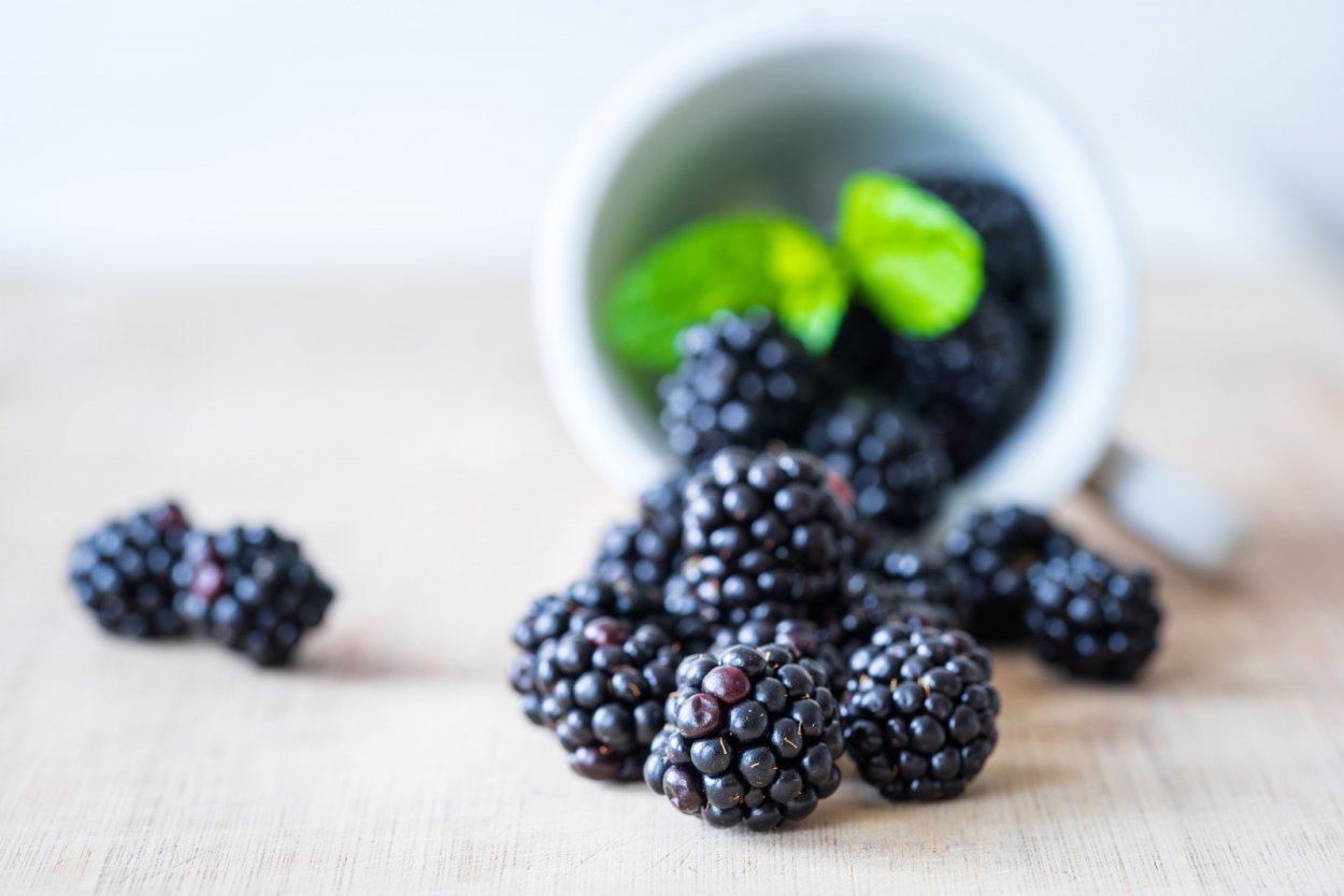 Фиолетовые ягоды