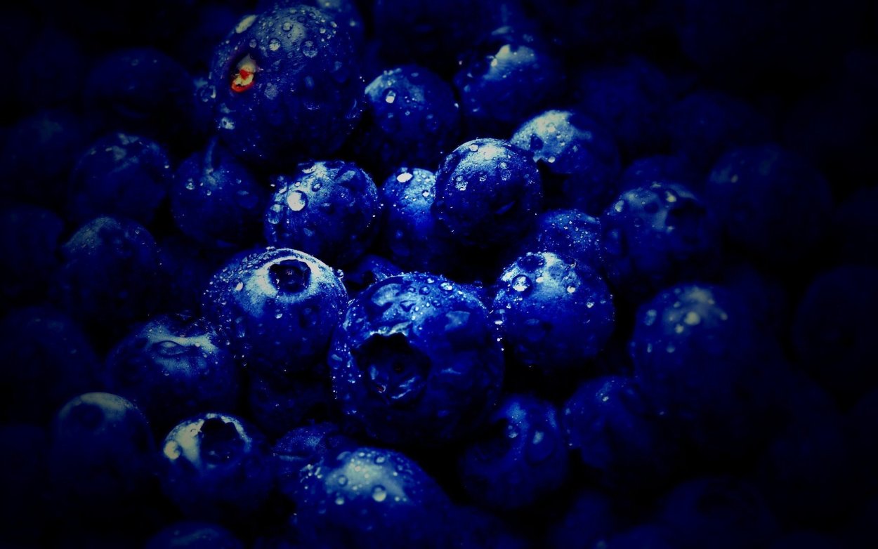 Черника голубика ежевика