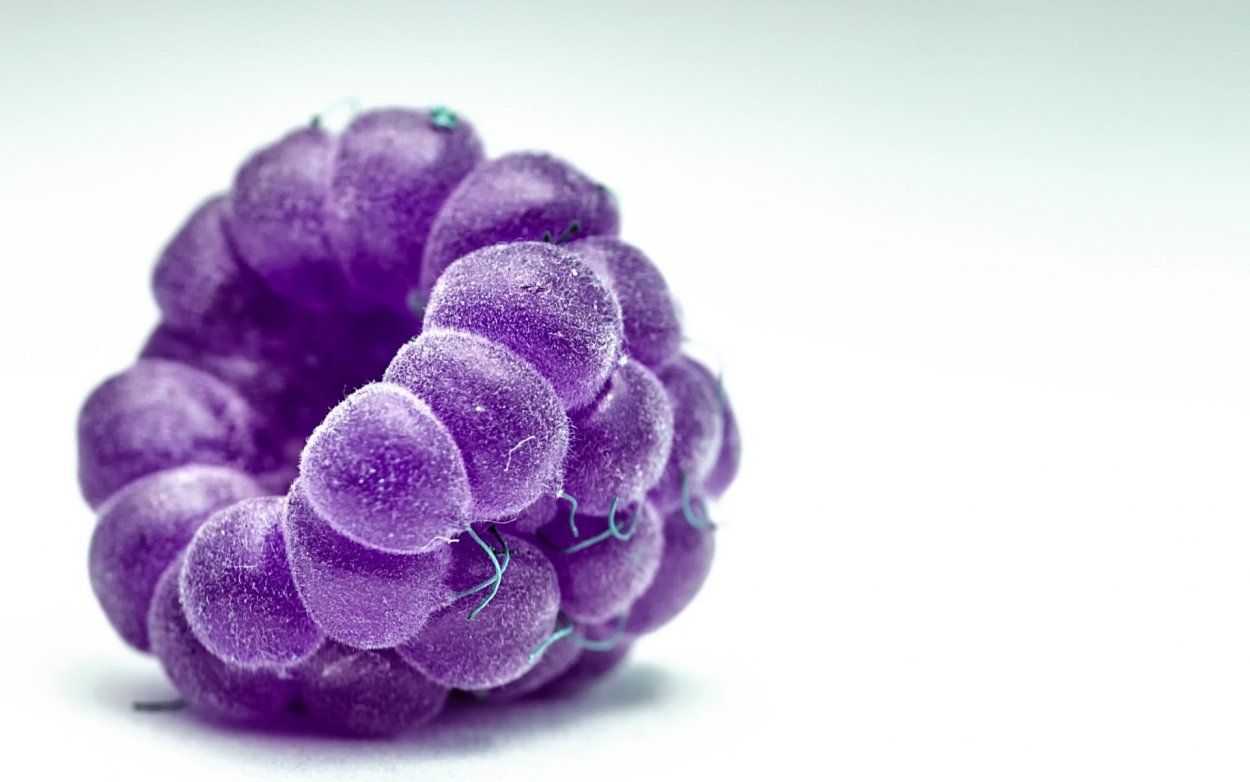 Овощи фиолетового цвета