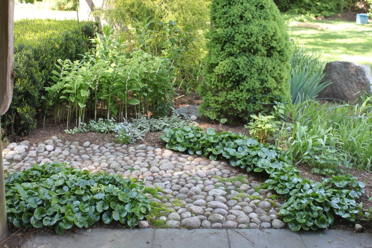 Клумба с гортензией и хостой