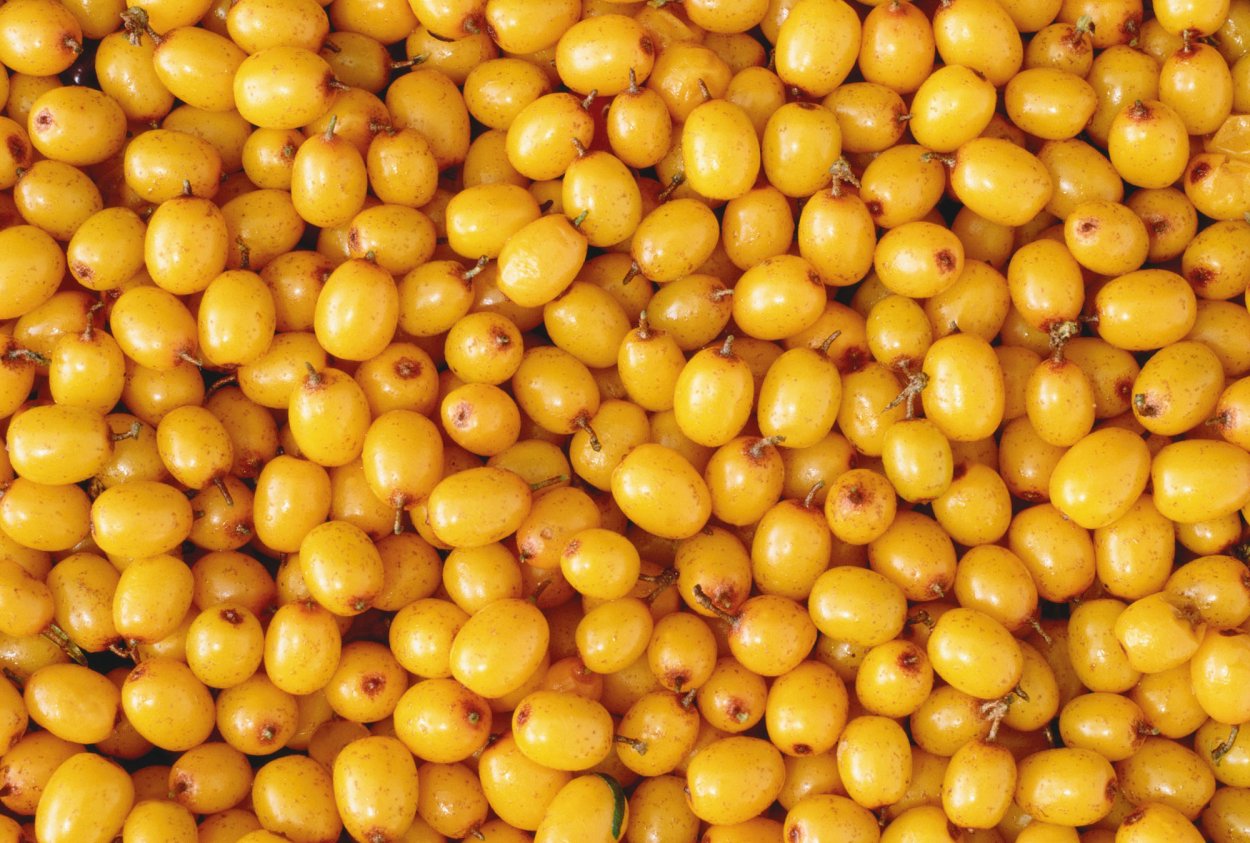 Маленькая желтая ягода