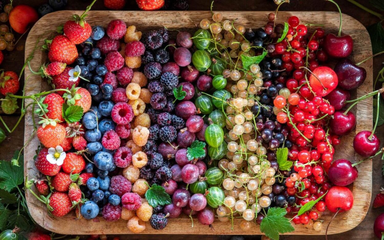 Малина клубника черника