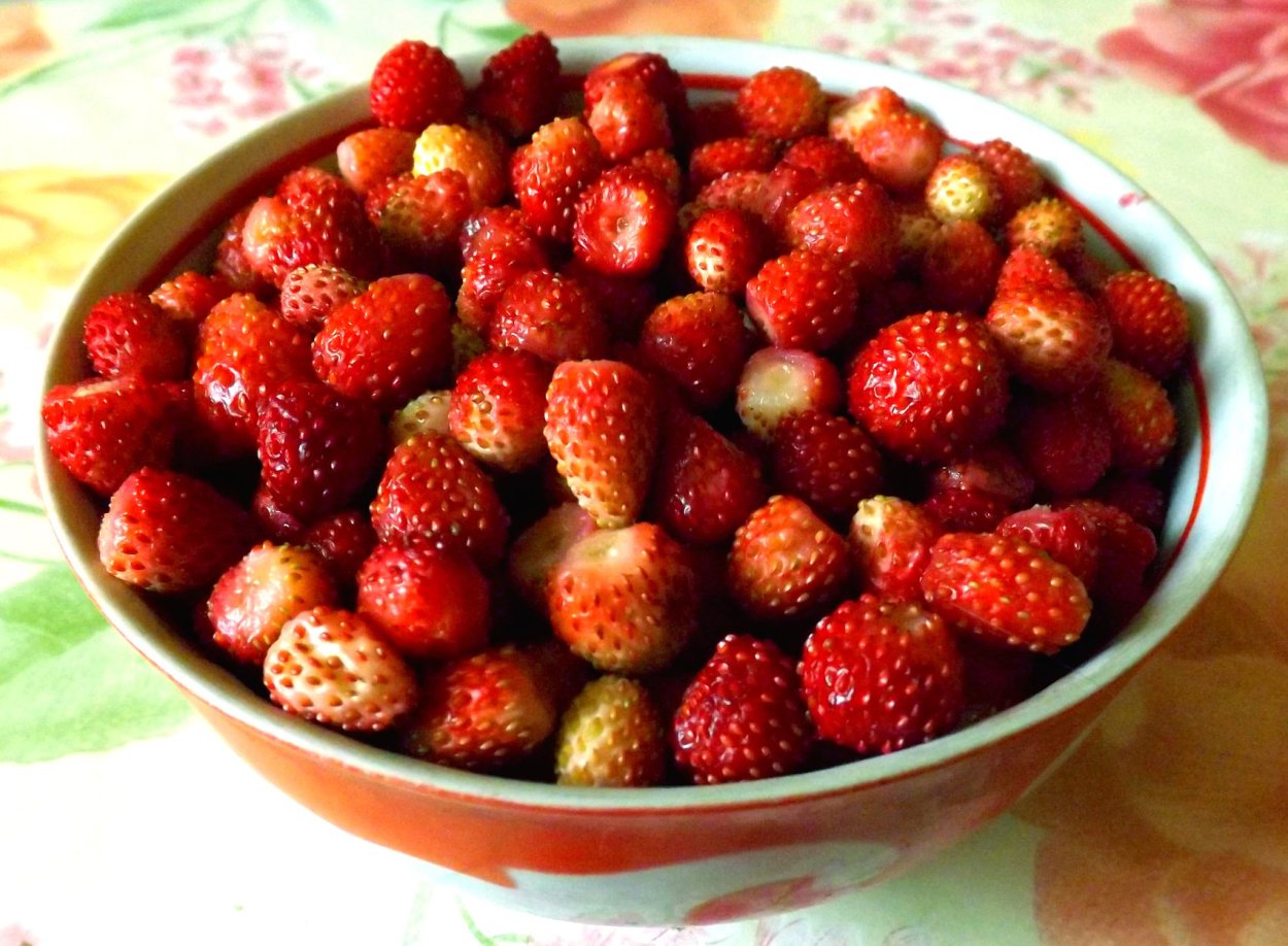 Бубляника ягода