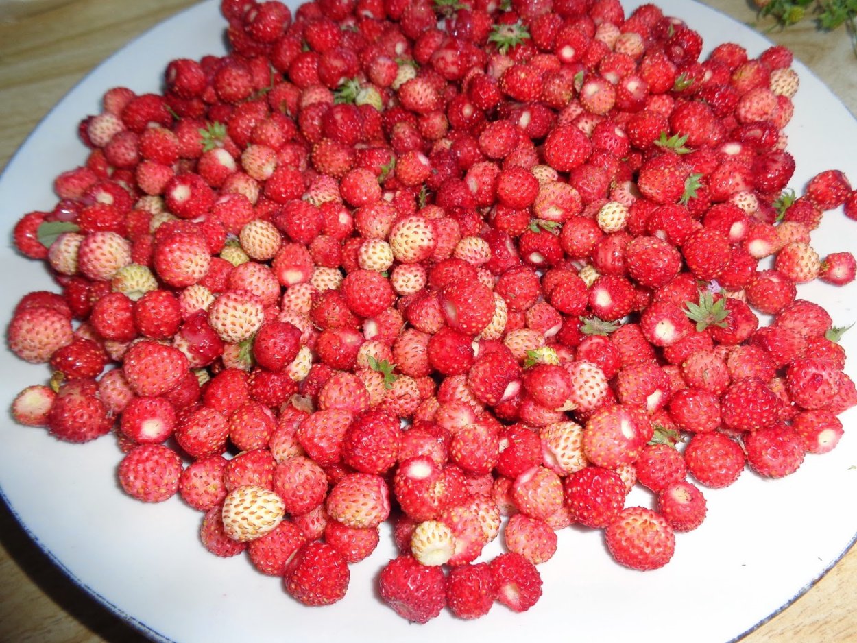 Клубника настоящая