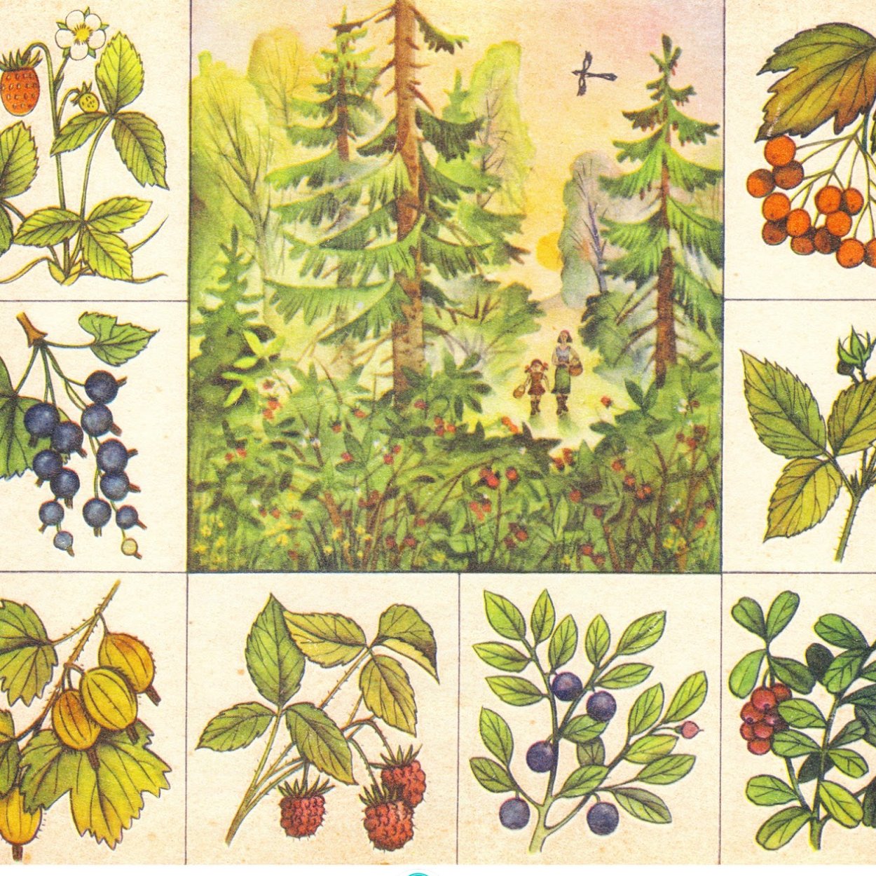 Карточки Ботаническое лото