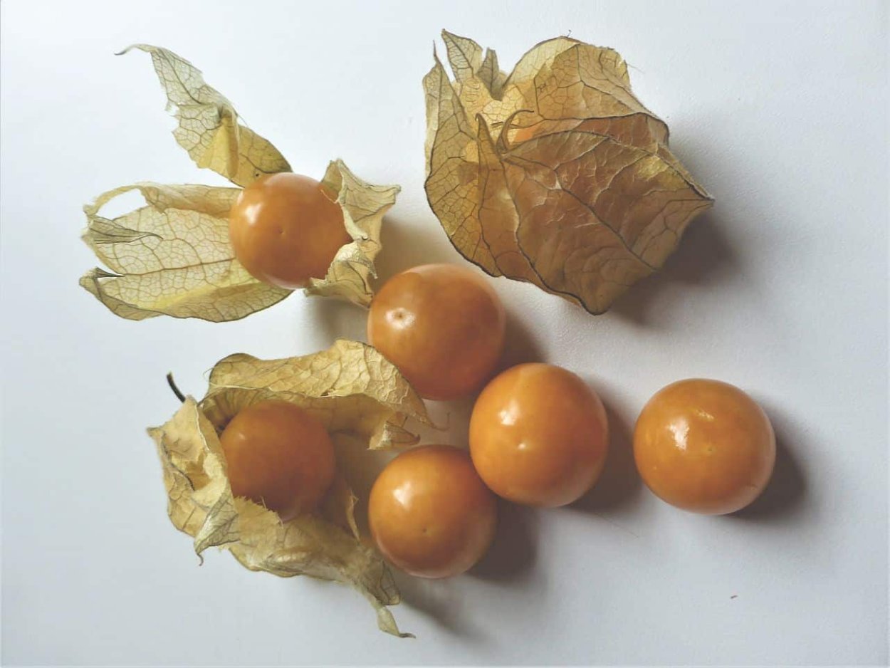 Спелый физалис