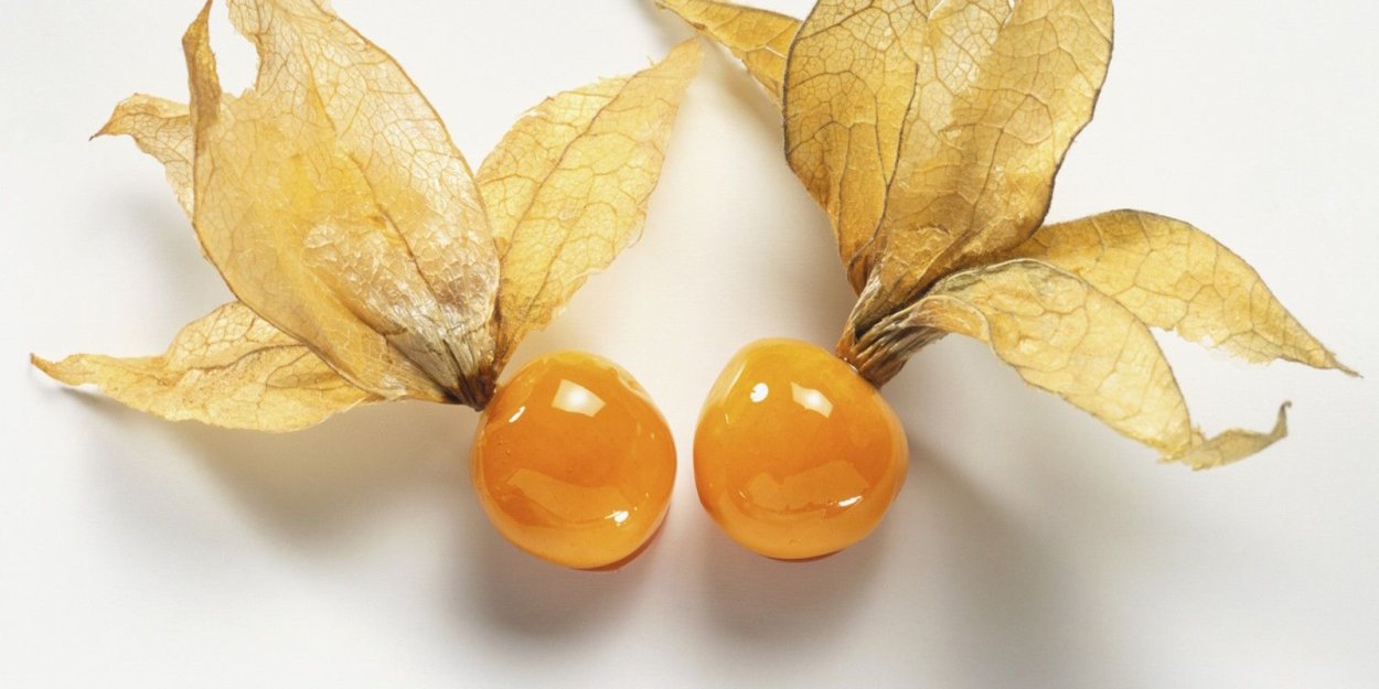 Физалис Земляничный