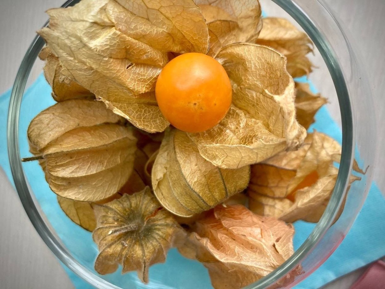 Физалис оранжевый