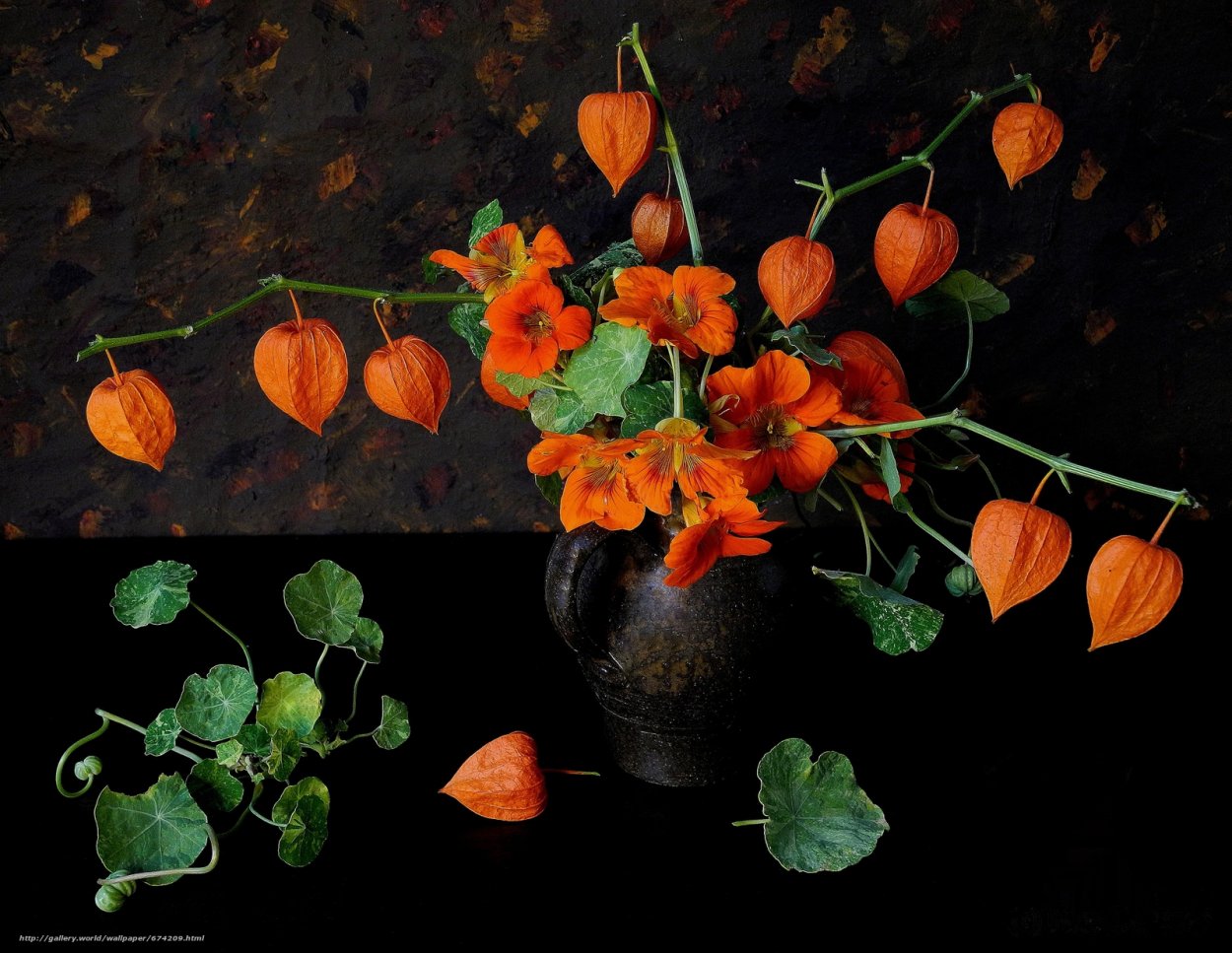 Светлана Лансе физалис