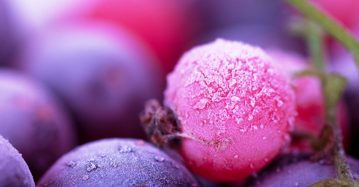 Розовые ягоды