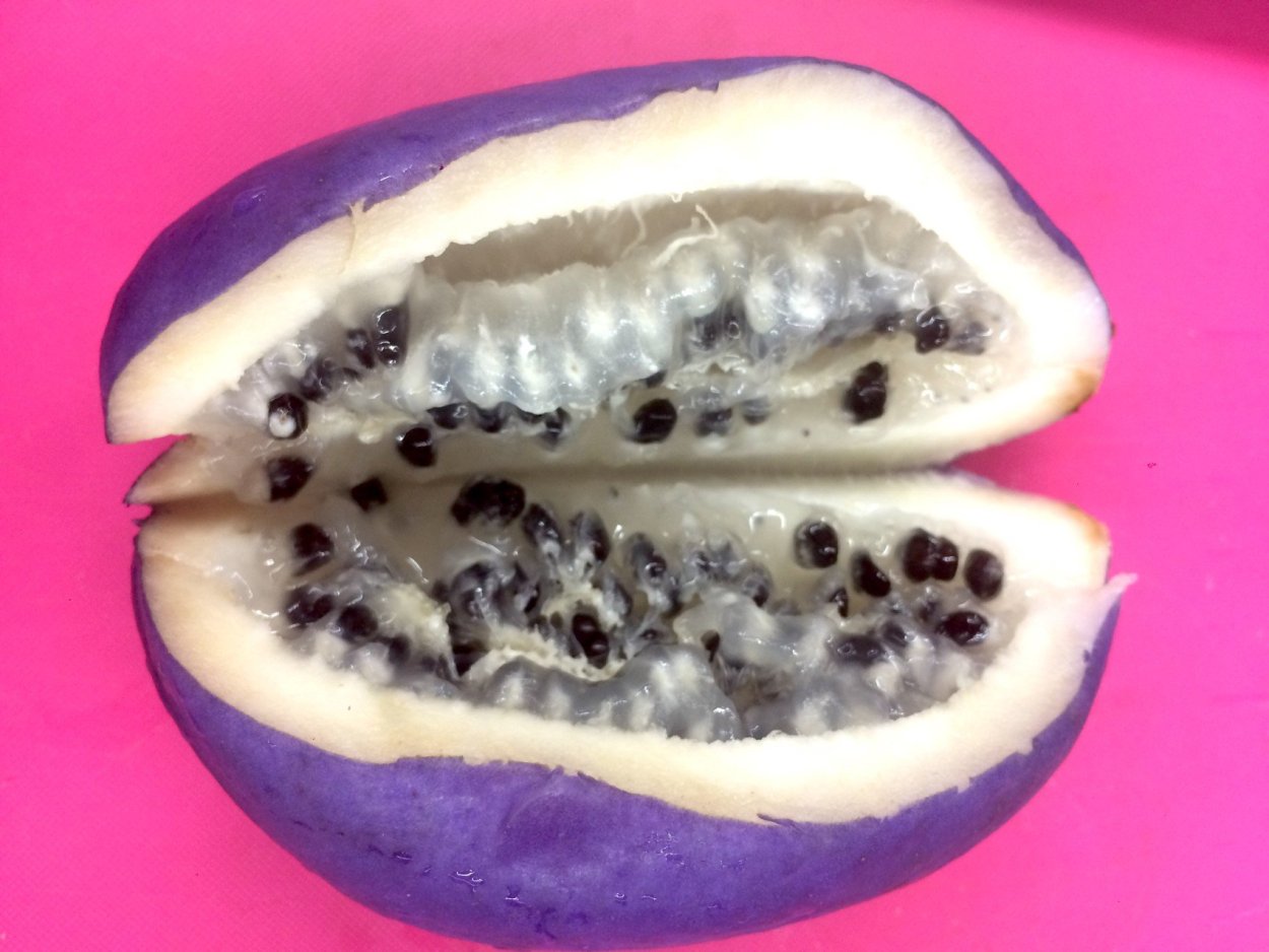 Черника голубика ежевика