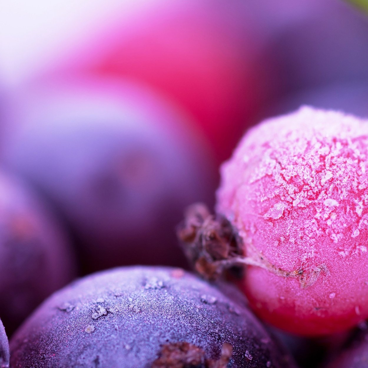 Синие сливы