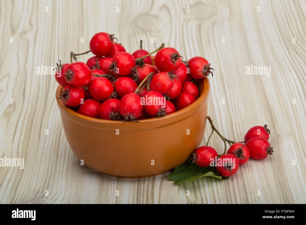 Боярышник Сибирский Crataegus sanguinea