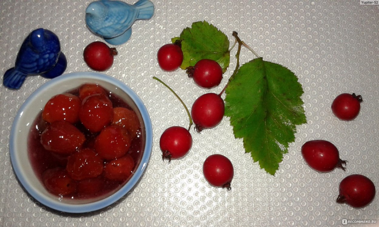 Розоцветные растения боярышник