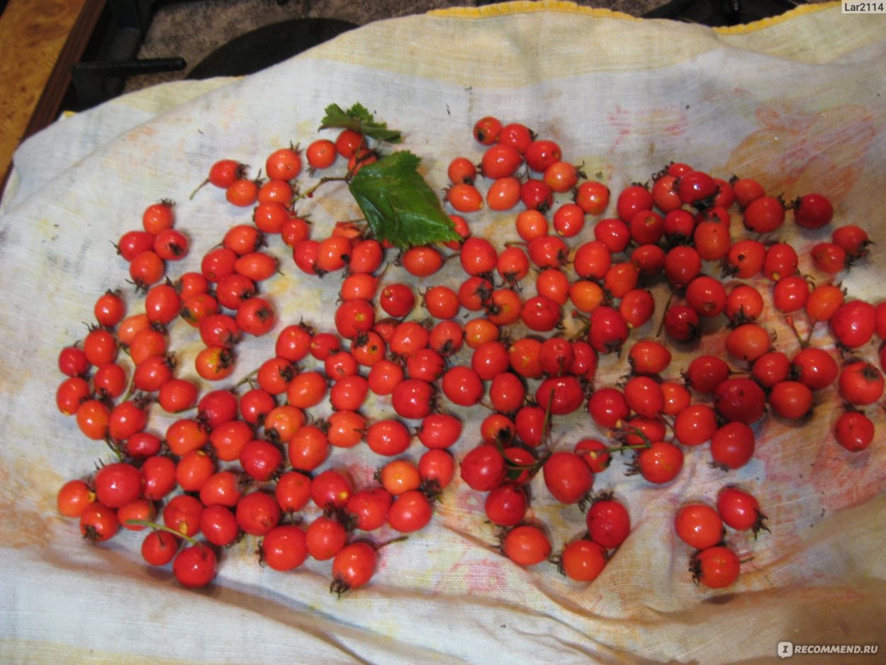 Первый снег