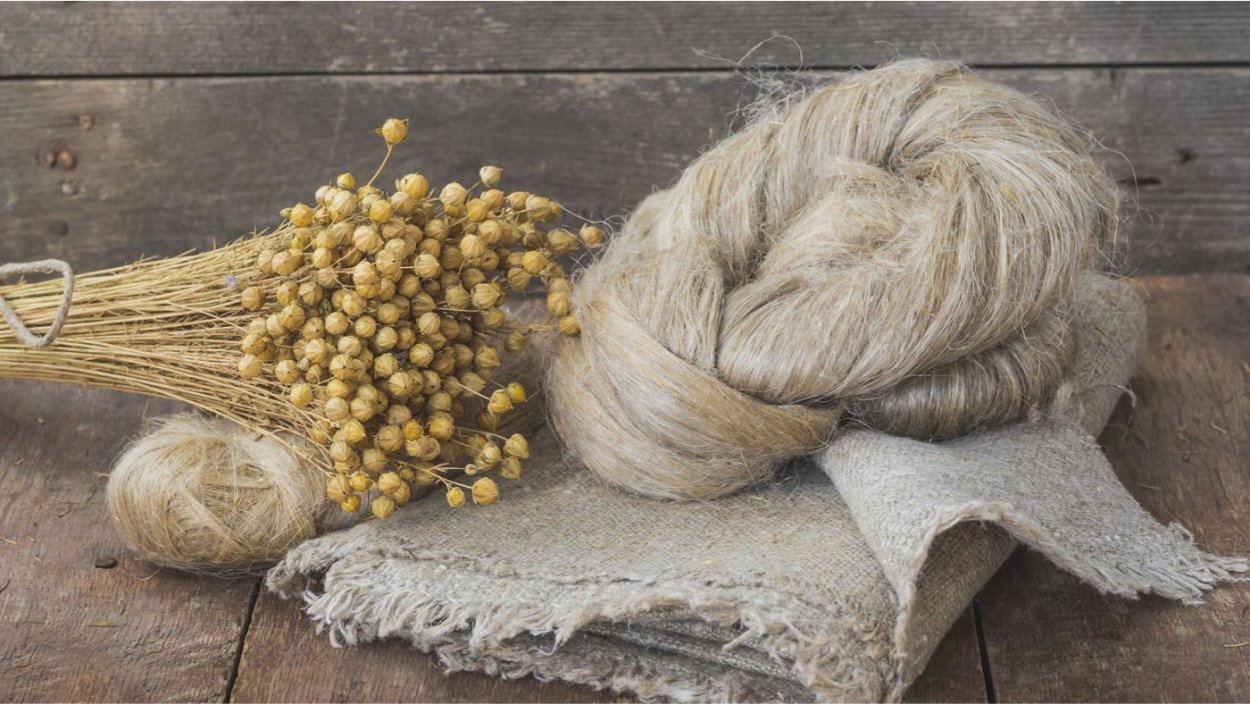 Лен-долгунец волокно