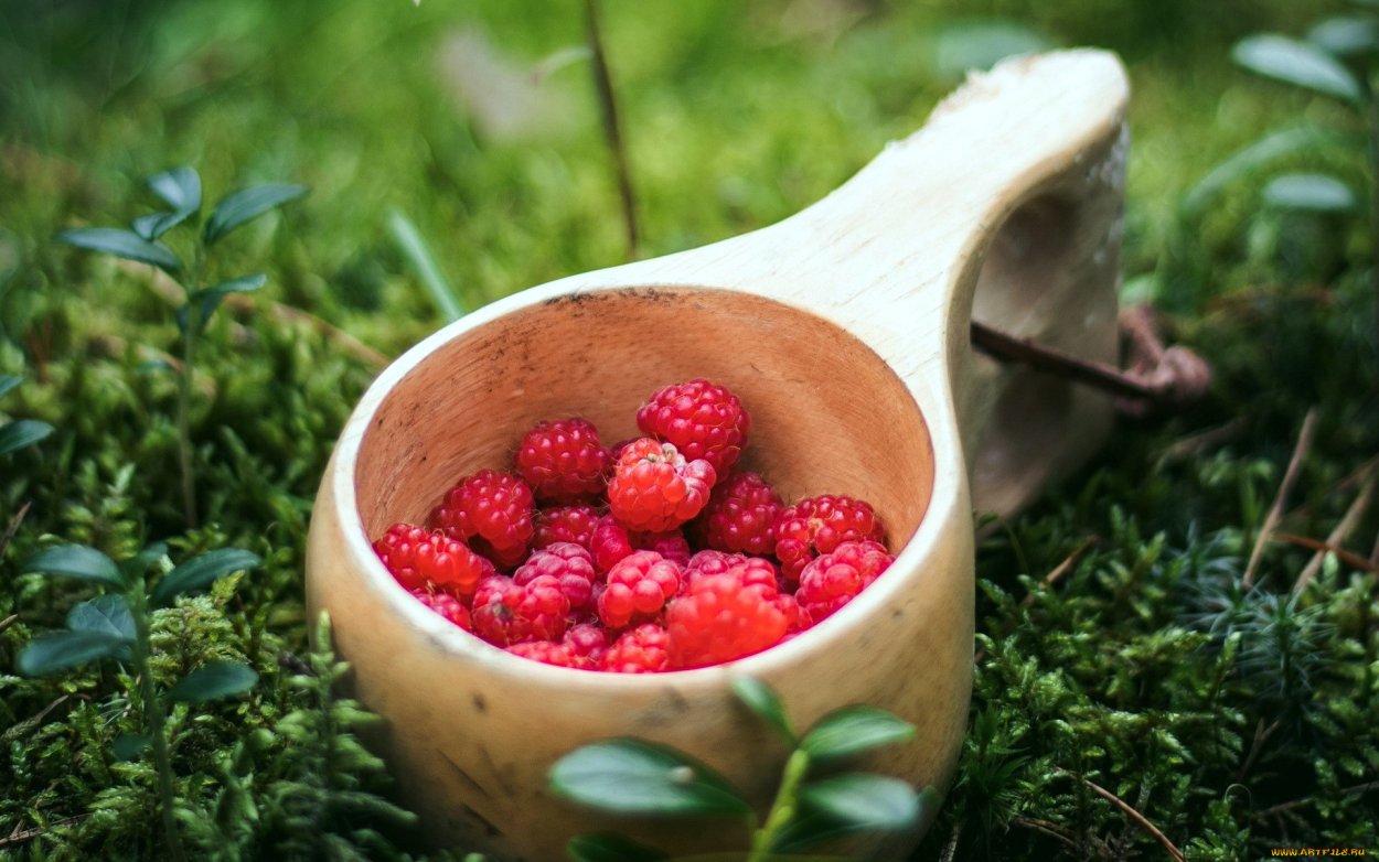 Ягоды лежат