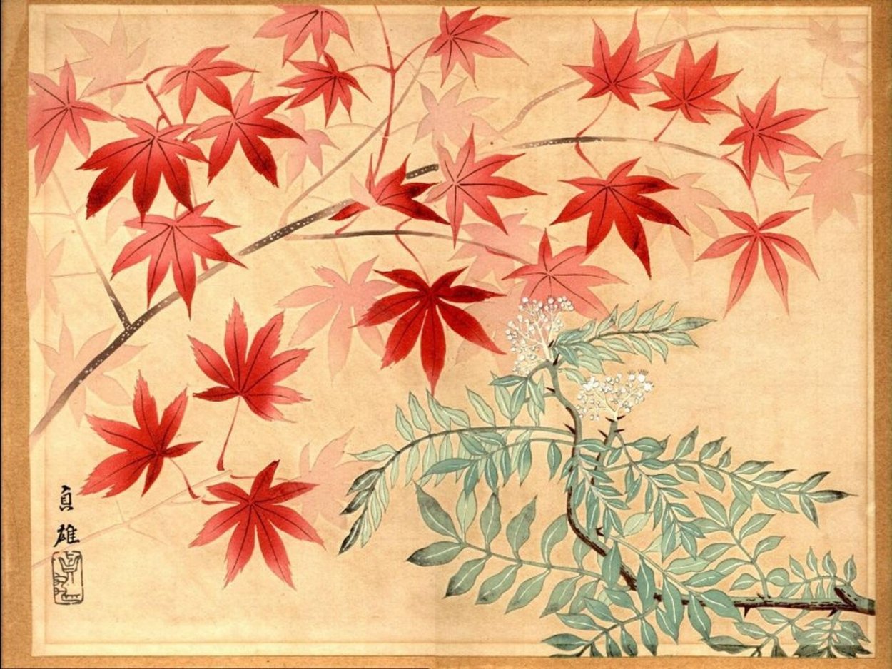 Клен Момидзи в японской живописи