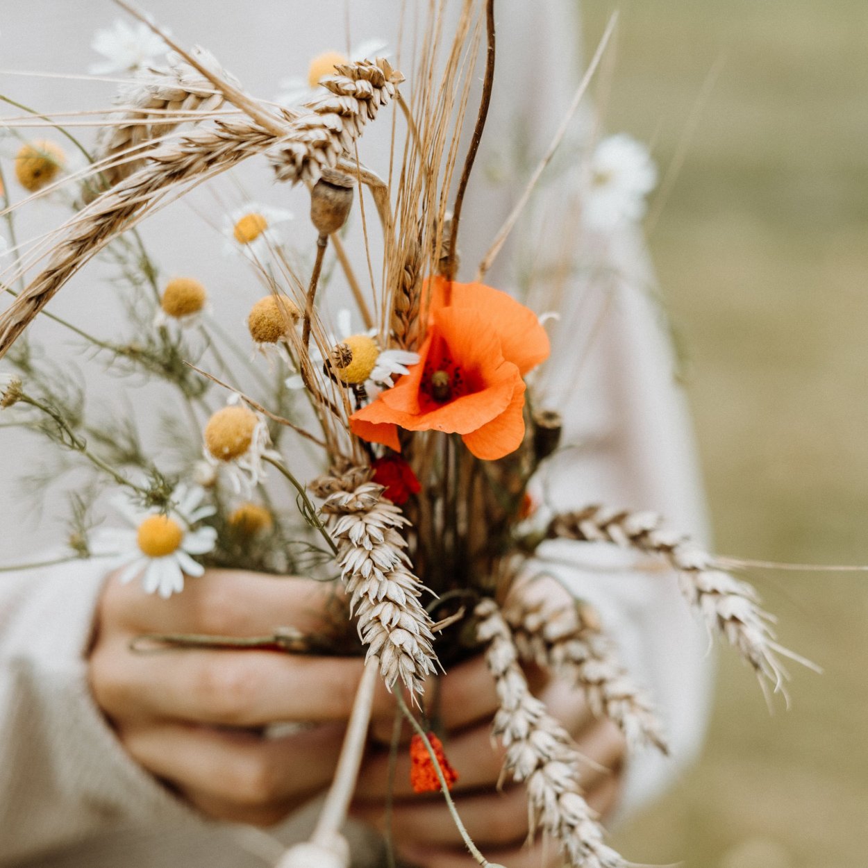Цветы и колосья большой букет