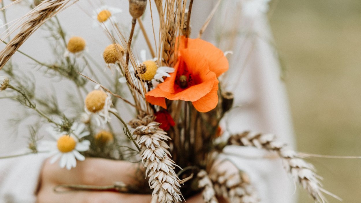 Полевые цветы с колосьями