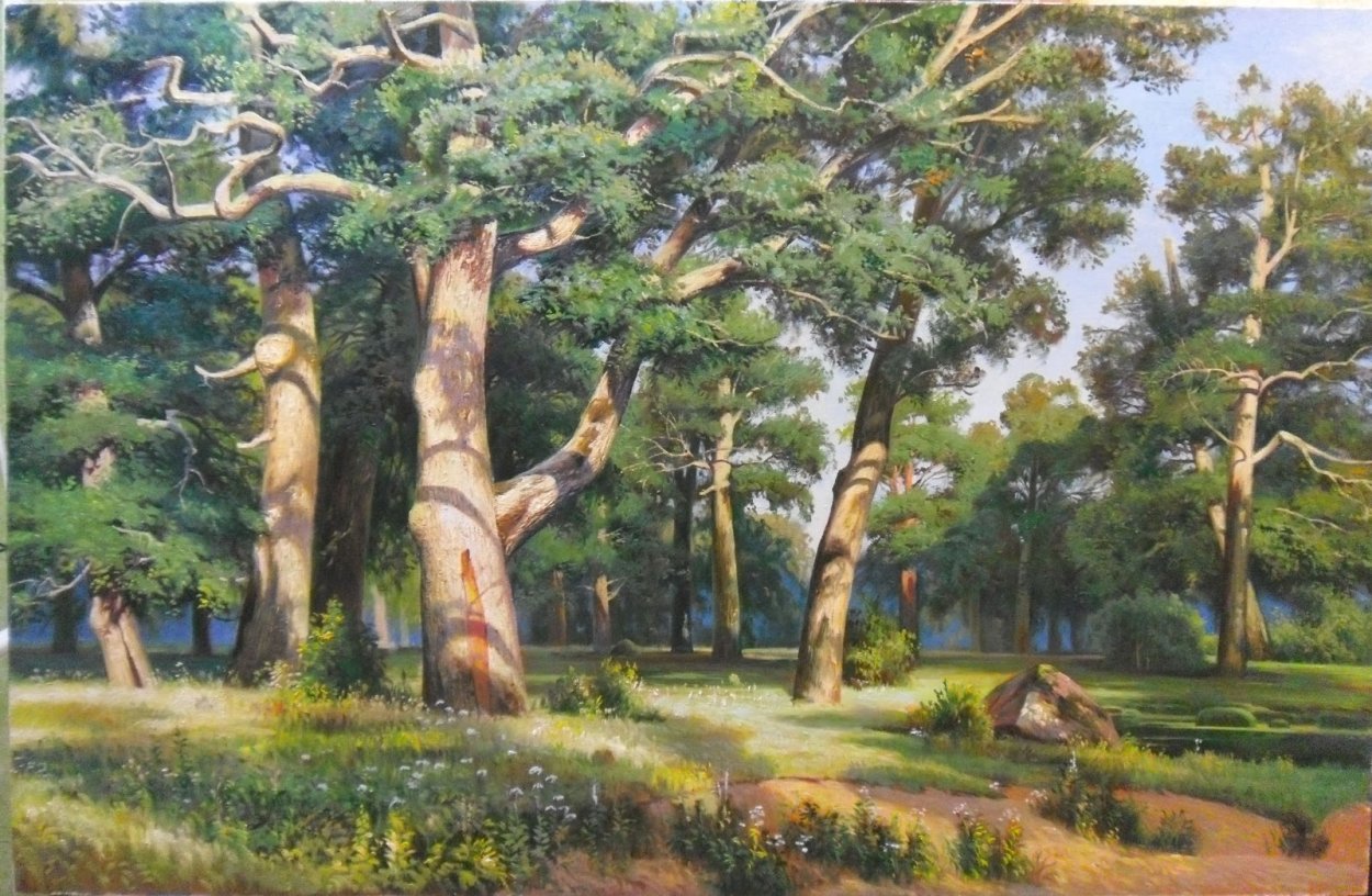 Дуб широколиственный лес