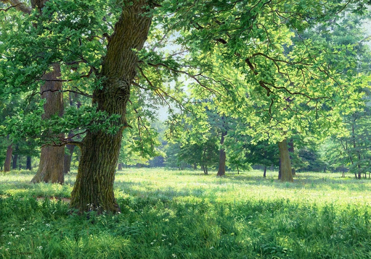 Терлецкий парк дубы