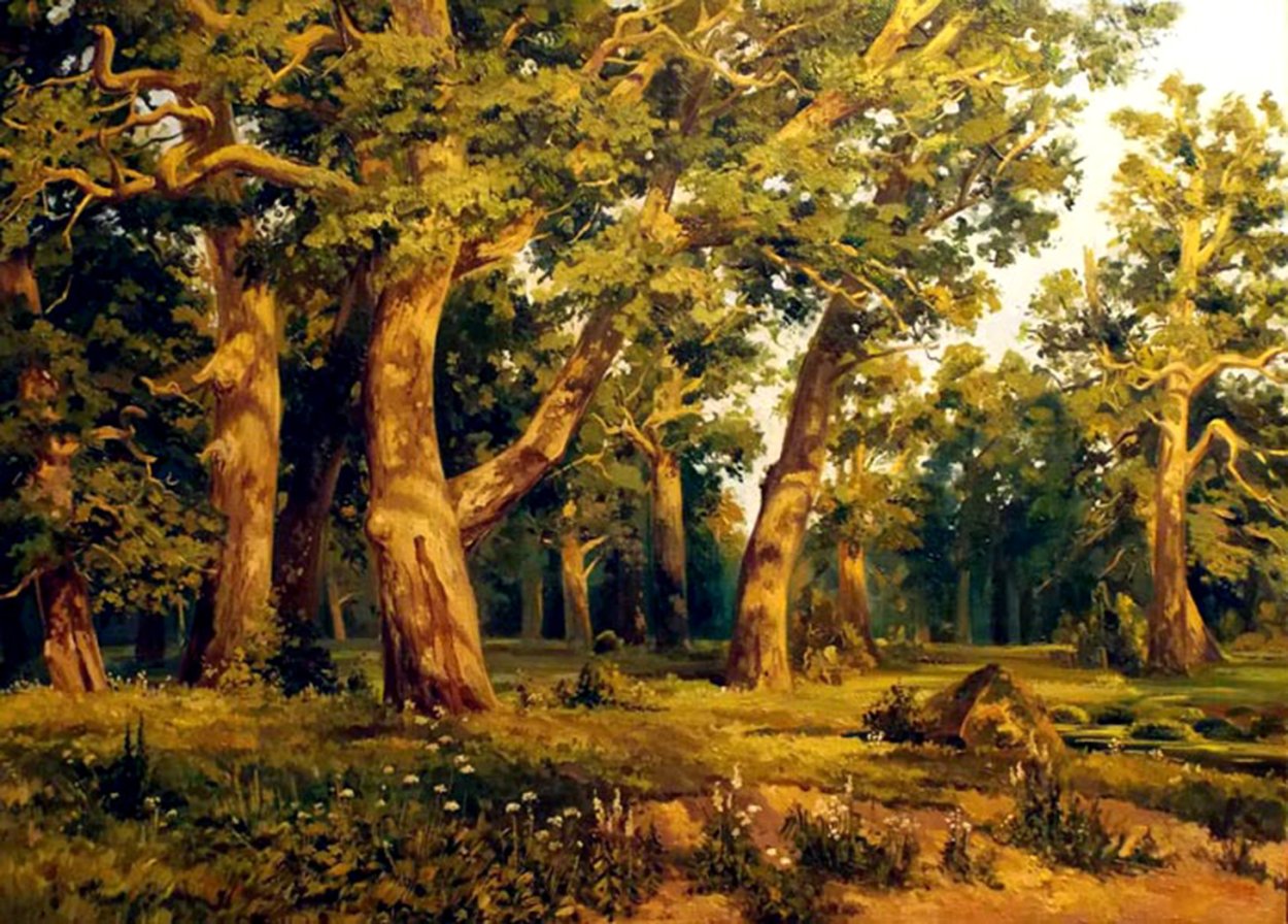 Дуб широколиственный лес