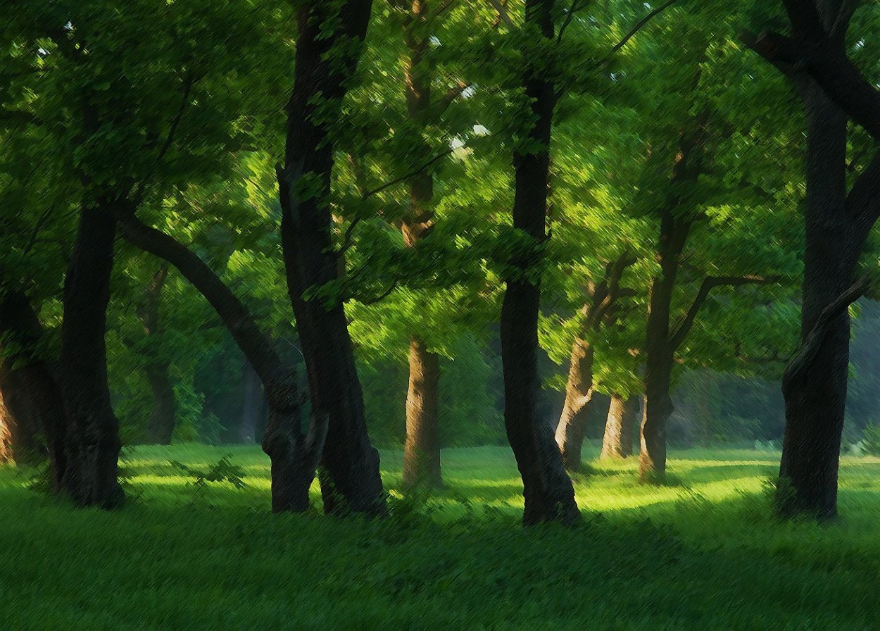 Дубовая роща лес